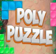 PolyPuzzle